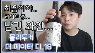 여윽시 몰리두커다!! 더 메이터 디 2018