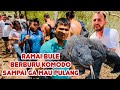 Ga Rugi Jauh-Jauh Dari Inggris Ke Pulau Komodo My Dream Come True Indonesia