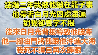 （完結爽文）結婚三年我被他鎖在籠子裏，他帶著白月光四處瀟灑，對我卻隻字不提，後來白月光背叛導致他破產，他一腳油門將我跟他沖進大海，我死不瞑目再次睜眼！#情感生活#老年人#幸福#出軌#家產#白月光#老人