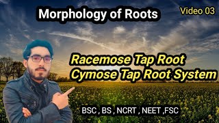 Racemose and Cymose Tap Root System . Morphology of Root video 3