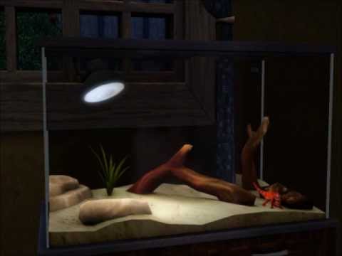 The Sims 3 Pets: minor pets The Sims 3 Pets: minor pets