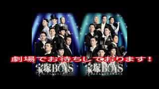 その6『宝塚BOYS』への意気込みを一言