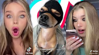 TIK TOK MEMES That Help Me Forget That I’m Single on Valentine’s Day 😭💔