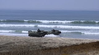 Marines Conduct Assault Amphibious Vehicle Landing