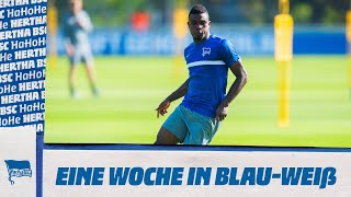 HaHoHe - Eine Woche in Blau-Weiß | 1. Spieltag | Werder Bremen vs. Hertha BSC