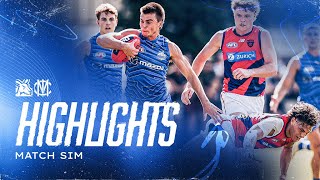 Match sim highlights: North Melbourne v Melbourne