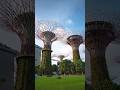 Singapore's 'Garden by the Bay' has solar-powered supertrees!! Full 4K Video in Link #shorts