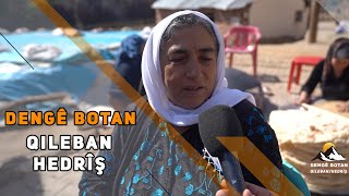 DENGÊ BOTAN - QILEBAN / HEDRÎŞ