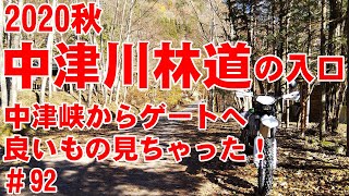 【2020秋の最新映像】中津川林道（の入口）に行ってきた！【秋の中津峡】