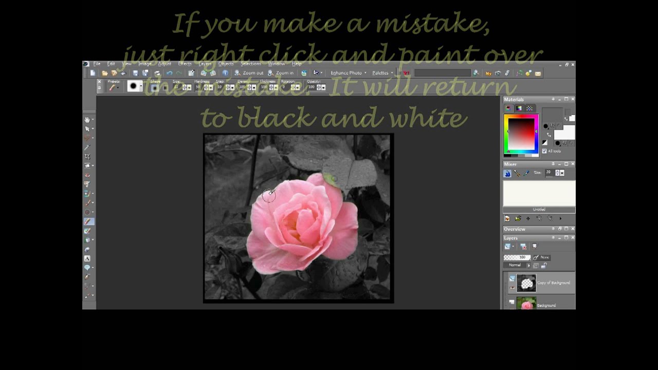 Paint Shop Pro Photo X2 Tutorial- Keeping Color In Black And White ...