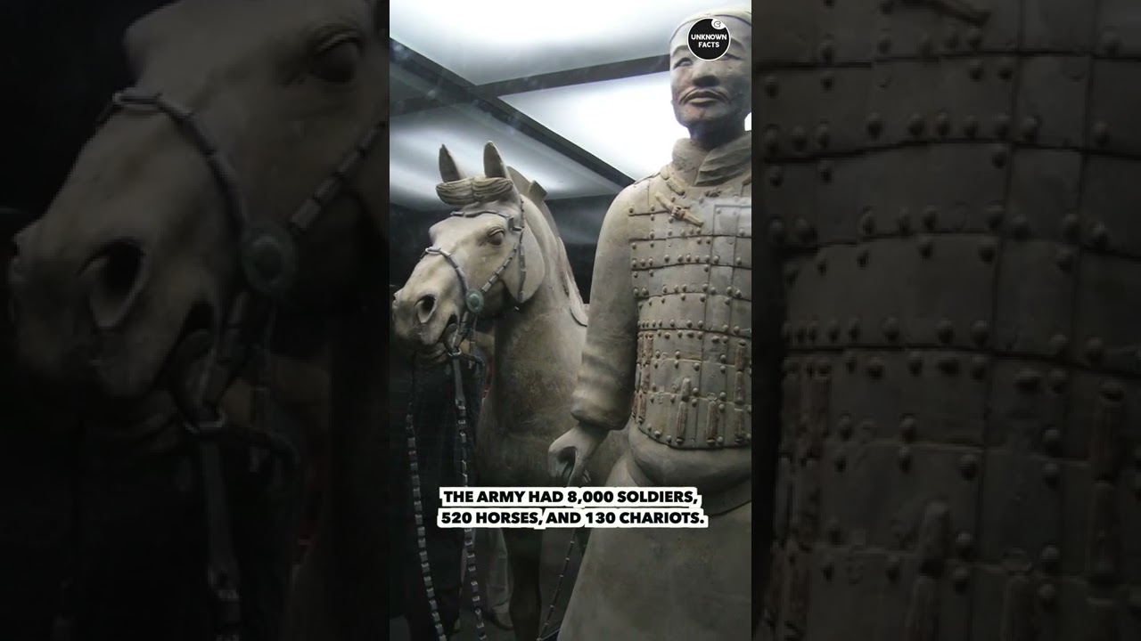 Most Unusual Discoveries Ever Made Unknown Facts Go It