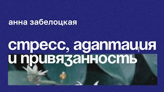 Стресс, адаптация и привязанность // Анна Забелоцкая