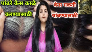 पांढरे केस काळे करण्यासाठी , केसगळती थांबवण्यासाठी हेअर मास्क Hair Fall Solution Marathi SolapuriTai