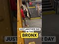 JUST ANOTHER DAY IN THE BRONX