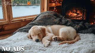 12時間の犬の音楽🎵犬のためのリラックスできる睡眠音楽🐶🎵分離不安の緩和💖犬を落ち着かせる音楽