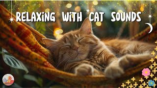 Music to Relax Cats 😺 Soothing Music To Relaxation 💕 Relaxing Music to Keep Your Kitty 😻