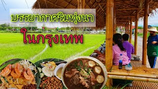 ยังมีอยู่อีกหรอ! ร้านอาหารบรรยากาศริมทุ่งนาในกรุงเทพ  ร้านกินเตี๋ยวชมทุ่ง  อิ่มกาย อิ่มตา อิ่มใจ ลอง