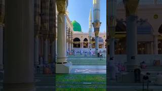 Madinah....City of Love #youtubeshorts #ytshorts #youtube