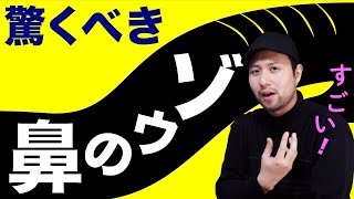 もはや鼻ではない。【ゾウの生態】