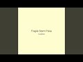 Fragile Storm Pulse
