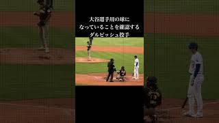 記念球を残すことに協力的ですね