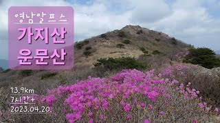 가지산 \u0026 운문산 연계산행 / 승용차 2대 이용 / 영남알프스 1일 2산  / 석남터널 주차장 - 상양마을 코스 / 100대 명산 / 운문산 등산객 임시주차장 / 느린 산행