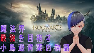 【Hogwarts Legacy】やっと仕事が終わった#35【ホグワーツ・レガシー】