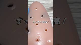 永遠と抜いてしまう鼻の角栓ASMR