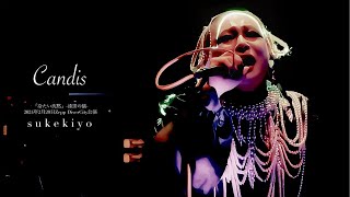 sukekiyo（スケキヨ） - 『Candis』 【TOUR2024「冷たい沈黙」-漆黒の儀- at Zepp DiverCity】