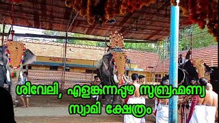 Elamkunnapuzha Subramania Swami temple festival, 3rd day seeveli, thidambu - Pallatt Brahmadathan