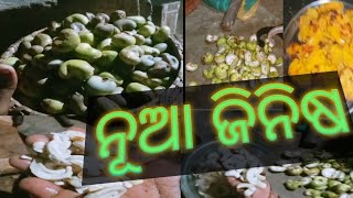 ନୂଆ ଜିନିଷ//ଘରୁ ଆସି ଥିଲା //pari babuna vlog video