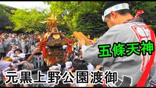 29年 五條天神 大祭  町会神輿連合渡御です。