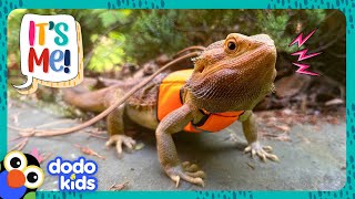 Brave Lizard Suits Up To Explore An Unknown World! | Dodo Kids | It's Me!