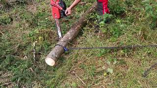 Schnittübung - Holz unter seitlicher Spannung