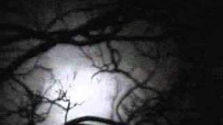 Solstice lunar eclipse, 12/21/10 (time lapse)