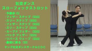 社交ダンス スローフォックストロット A02 フェザーステップとスリーステップ ステップ動画 競技ダンス