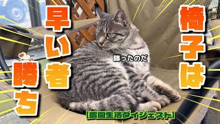 【12/5】今日も楽しく農園ライフ🐈‍⬛🐈【農園生活ダイジェスト】