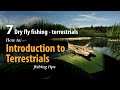 How to • Dry fly fishing - Terrestrials • Introduction • fishing tips