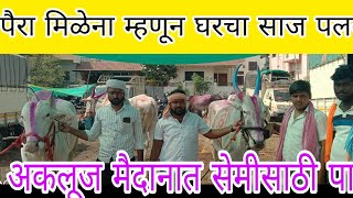 बापूराव वाघमोडे यांचा घरचा साजअकलूज मैदानात सेमीसाठी पात्र #Gholap Tatya live