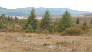 Huge Village of Small Town in Tsagaan-Nuur, County of Khuvsgul, All of States, Regions of Mongolia.