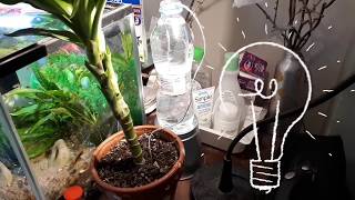 Self Watering System for plants  用矿泉水瓶制作自动浇水系统