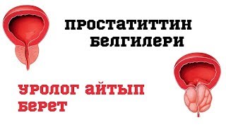 Простатиттин белгилери. Уролог айтып берет//BILESINBI.KG