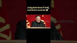 North Korea Rules Explained in Telugu || TELUGU SPECTRUM || #northkorea #kimjongun #facts #telugu