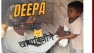 दीपा  का कबूतर खाया बिल्ली ने🐱🐱#funny #Sandeep Kabbadi#Kabootar Baj🕊️ ￼#कबूतरबाज #Funny #🐱￼￼