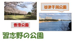 私のお気に入りin習志野（My favorites in Narashino）ー香澄公園・谷津干潟・谷津バラ園・秋津公園