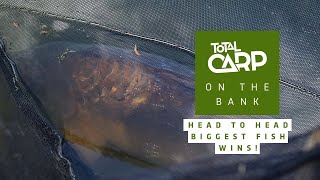 HEAD TO HEAD...BIGGEST FISH WINS! HUGE carp caught from Linear Fisheries!