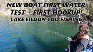 Lake Eildon Murray Cod Fishing In My New Boat! #murraycod #fishing #lake #eildon #native #fail