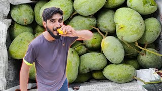 White chaunsa mango tastes like honey? pakistani chaunsa mango