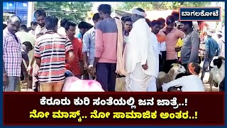 Bagalkot People Flock To Sheep Fair |ಕೊರೊನಾ ಇಳಿಕೆ ಬೆನ್ನಲ್ಲೇ ಮುಂದುವರಿದ ಜನರ ನಿರ್ಲಕ್ಷ್| Vijay Karnataka