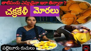 తాటిపండు చక్రకేళీ | తాటి మోరలు | Palm fruit | Tati pandu | Tati Ruchulu | పల్లెటూరు